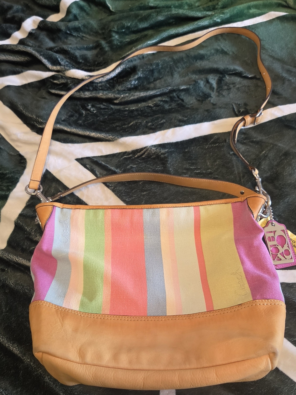 Y2K Coach Crossbody Bag
